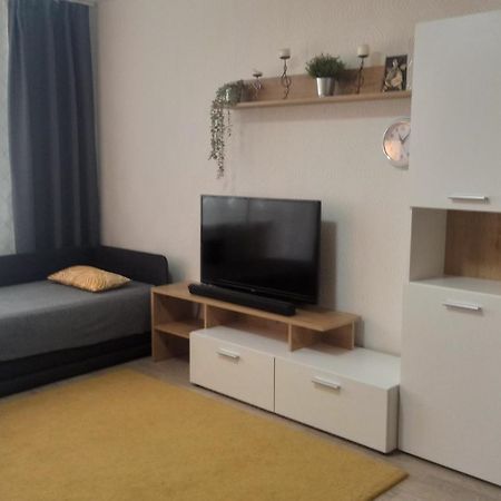 Lake Apartment 维萨吉纳斯 外观 照片